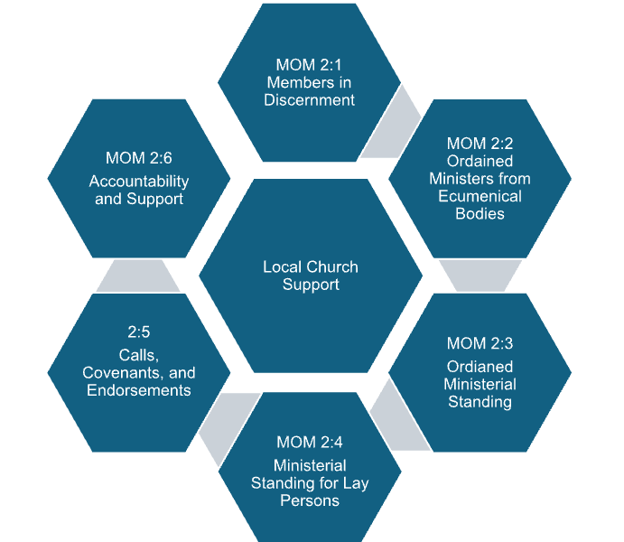 a honeycomb model of the current COMs across 5 associations.